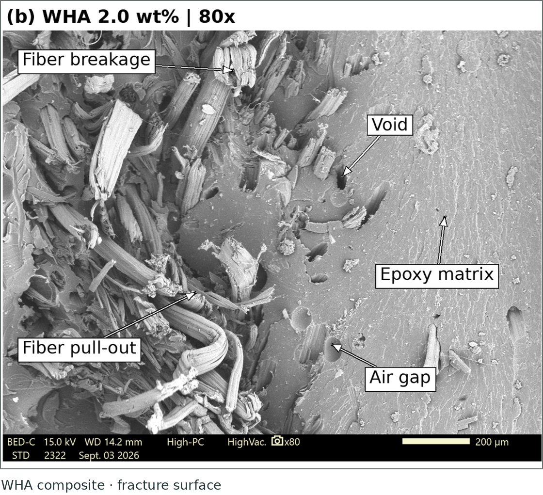 Water hyacinth ash composite: fracture morphology