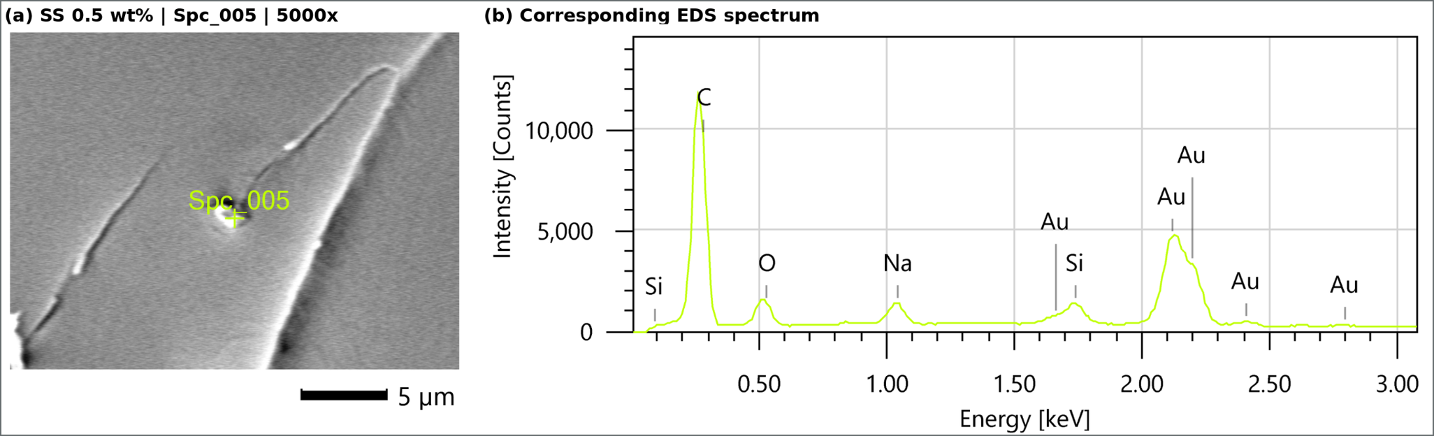 Selected SEM location and corresponding EDS spectrum